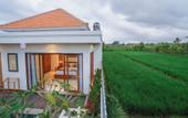 Туры в отель Villa Vasista