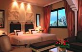 Туры в отель Gran Melia Don Pepe