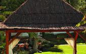 Туры в отель Gran Melia Don Pepe
