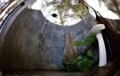 Туры в отель Micky Monkey Beach Hotel Phuket Maikhao Thailand
