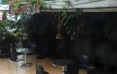 Туры в отель Hotel Bintang Solo