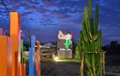 Туры в отель The Oasis Resort