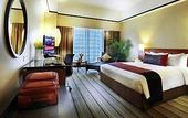 Туры в отель Grand Mercure Roxy