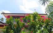 Туры в отель Pink House Samui