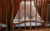 Туры в отель Coco Palm Villa and Cabanas