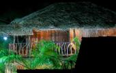 Туры в отель Coco Palm Villa and Cabanas