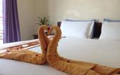 Туры в отель Sleep Inn Hotel