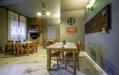 Туры в отель The Green Goose Hotel