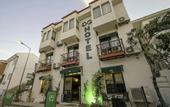 Туры в отель The Green Goose Hotel
