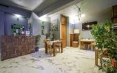Туры в отель The Green Goose Hotel