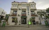 Туры в отель The Green Goose Hotel