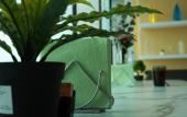 Туры в отель High Level Hostel