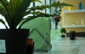 Туры в отель High Level Hostel
