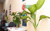 Туры в отель Like Hostel