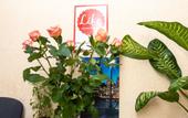Туры в отель Like Hostel
