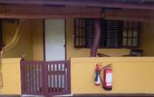 Туры в отель The Hideout Sigiriya