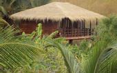 Туры в отель The Hideout Sigiriya
