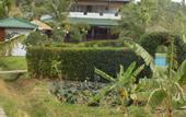 Туры в отель The Hideout Sigiriya