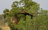 Туры в отель The Hideout Sigiriya