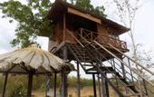 Туры в отель The Hideout Sigiriya