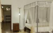 Туры в отель The Hideout Sigiriya