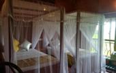 Туры в отель The Hideout Sigiriya
