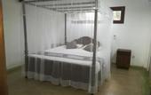 Туры в отель The Hideout Sigiriya