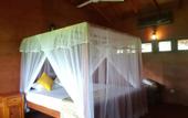 Туры в отель The Hideout Sigiriya