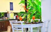 Туры в отель Grand Conch Villa