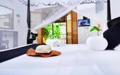 Туры в отель Grand Conch Villa