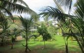 Туры в отель Raja Beach Hotel