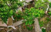 Туры в отель Ksyusha Guest House