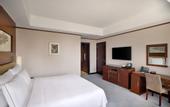 Туры в отель Grand Millennium Dubai