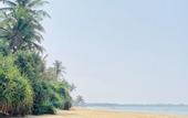 Туры в отель MICHS Beach Villa - Maggona