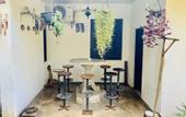 Туры в отель MICHS Beach Villa - Maggona
