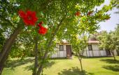 Туры в отель Bal Badem Bungalov