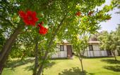 Туры в отель Bal Badem Bungalov