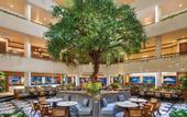 Туры в отель Grand Mirage Resort & Thalasso Bali