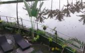 Туры в отель Villa Kemuning Ubud
