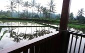 Туры в отель Villa Kemuning Ubud