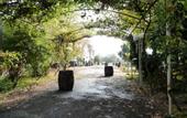 Туры в отель Chateau Eniseli