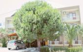 Туры в отель Grand Yayla Hotel
