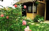 Туры в отель May Homestay Ninh Binh
