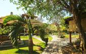 Туры в отель Puri Nusa Beach Hotel