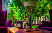 Туры в отель Dores Residence Hotel