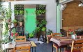 Туры в отель Golden Guesthouse