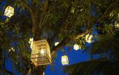 Туры в отель Private Pool Villa 88 Nimman Chiangmai
