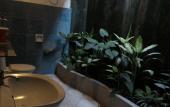 Туры в отель Amarta Beach Cottages