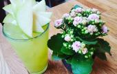 Туры в отель Kazdaglari Karye Muze Otel