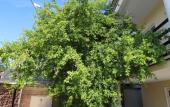 Туры в отель Rozalin Guest House